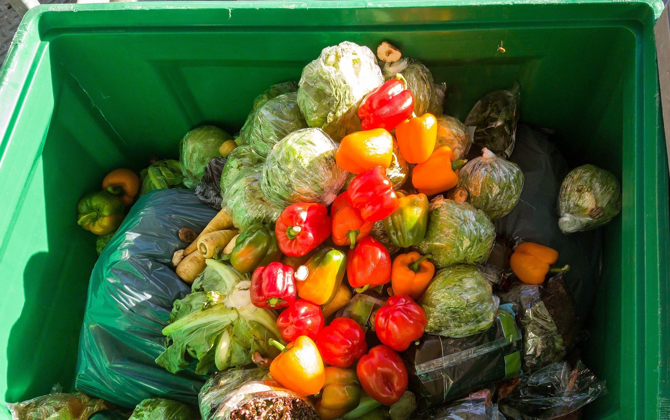 El desperdicio de alimentos se castigará con multas de hasta 60.000 euros