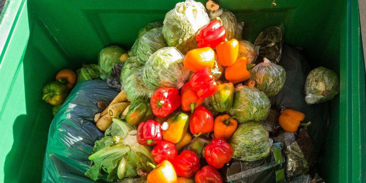 EuropaPress 4067794 ciclo sostenibiliad alimentaría abordara coexistencia hambre obesidad EuropaPress 4067794 ciclo sostenibiliad alimentaría abordara coexistencia hambre obesidad