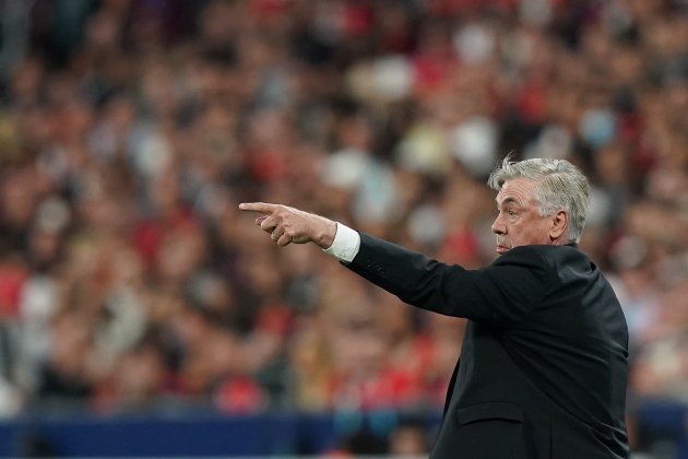 Carlo Ancelotti senalando EuropaPress Carlo Ancelotti senalando EuropaPress