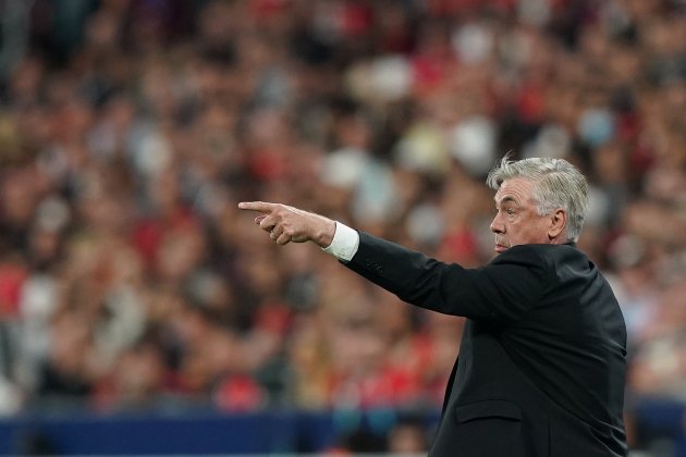 Carlo Ancelotti senalando EuropaPress