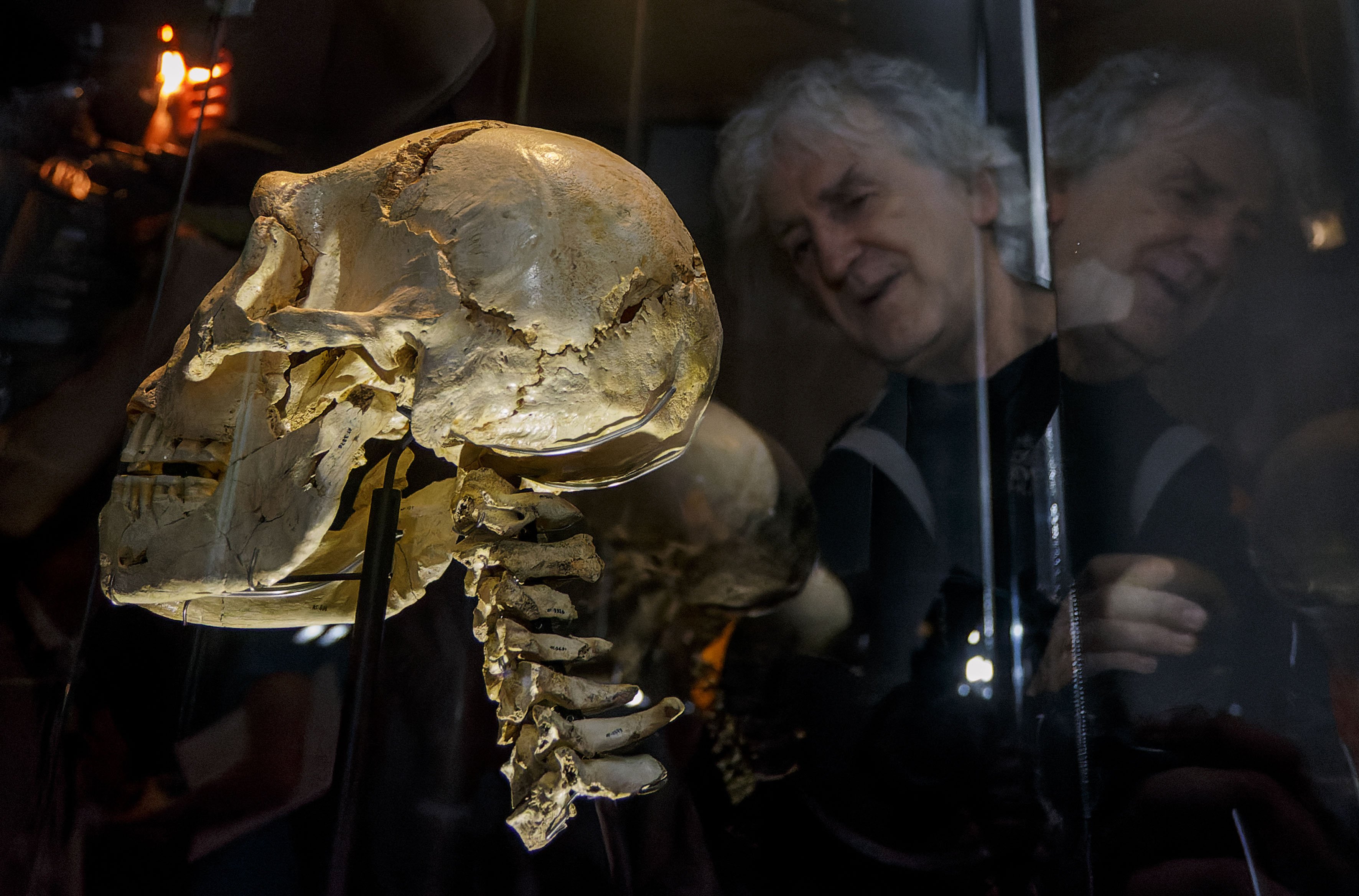 Así murió Miguelón, el primer hombre que habitó Atapuerca