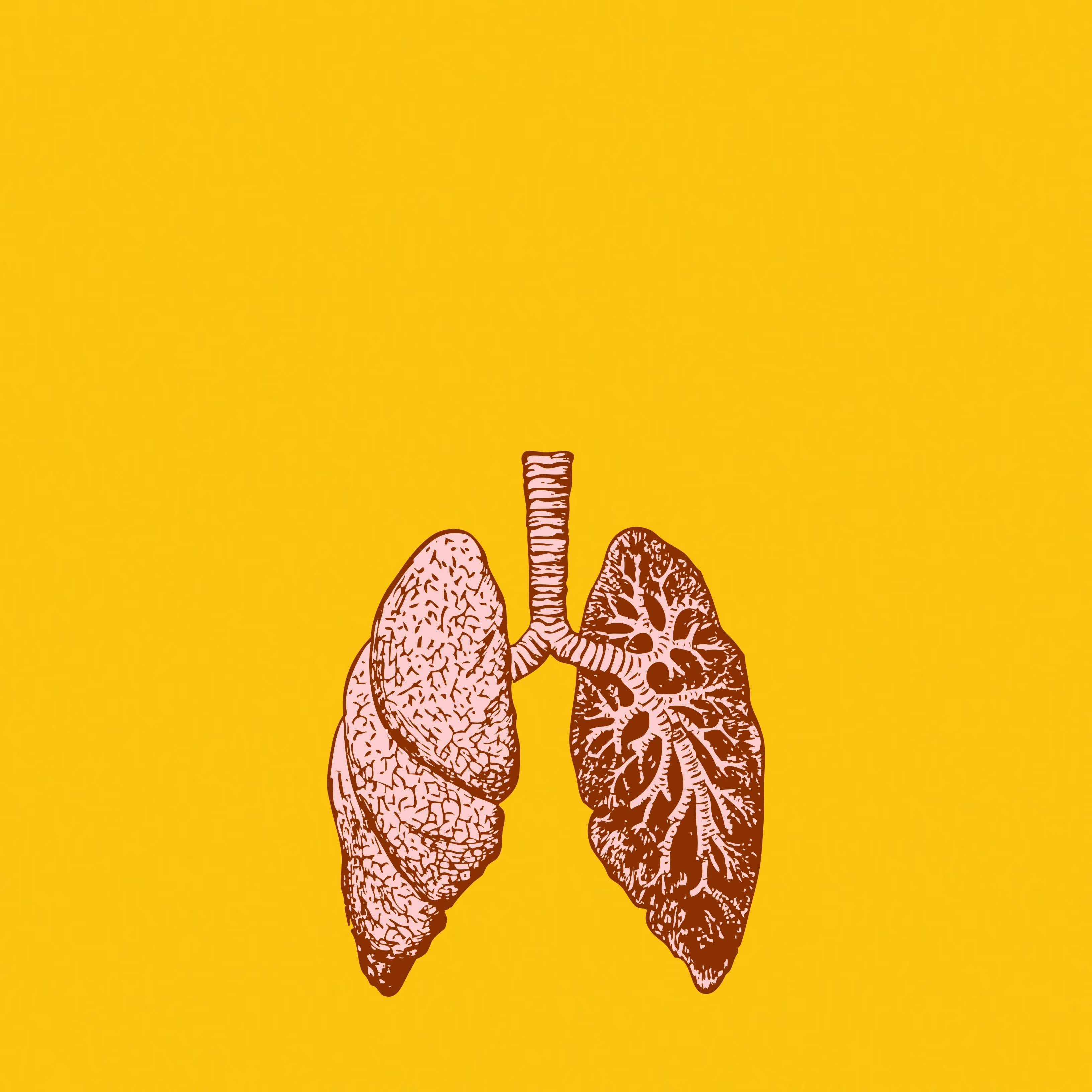 Qué es el cribado de cáncer de pulmón y por qué es tan importante