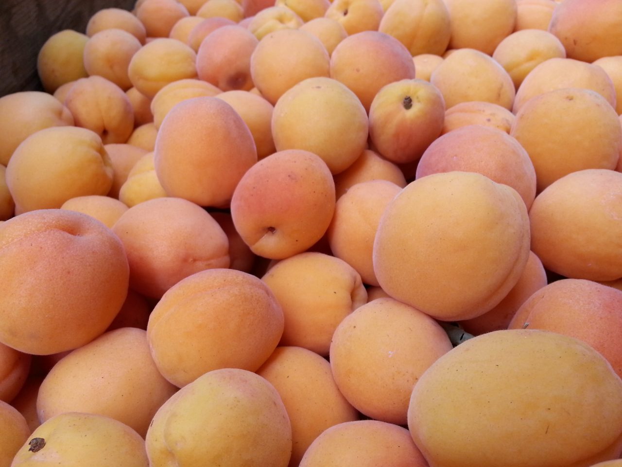 Albaricoque: una fuente de nutrientes para este verano