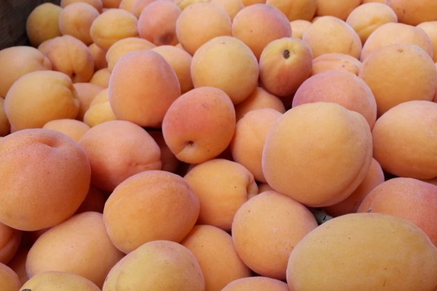 Albaricoque