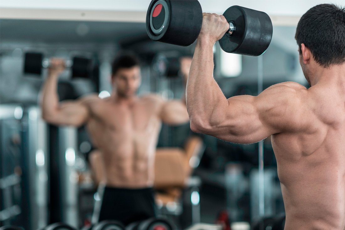 Catabolismo muscular: lo que debemos saber para entrenar de la mejor forma