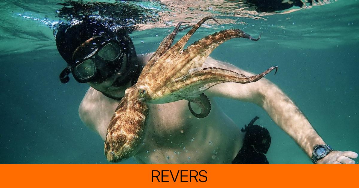 Los mejores documentales que se pueden ver en Netflix