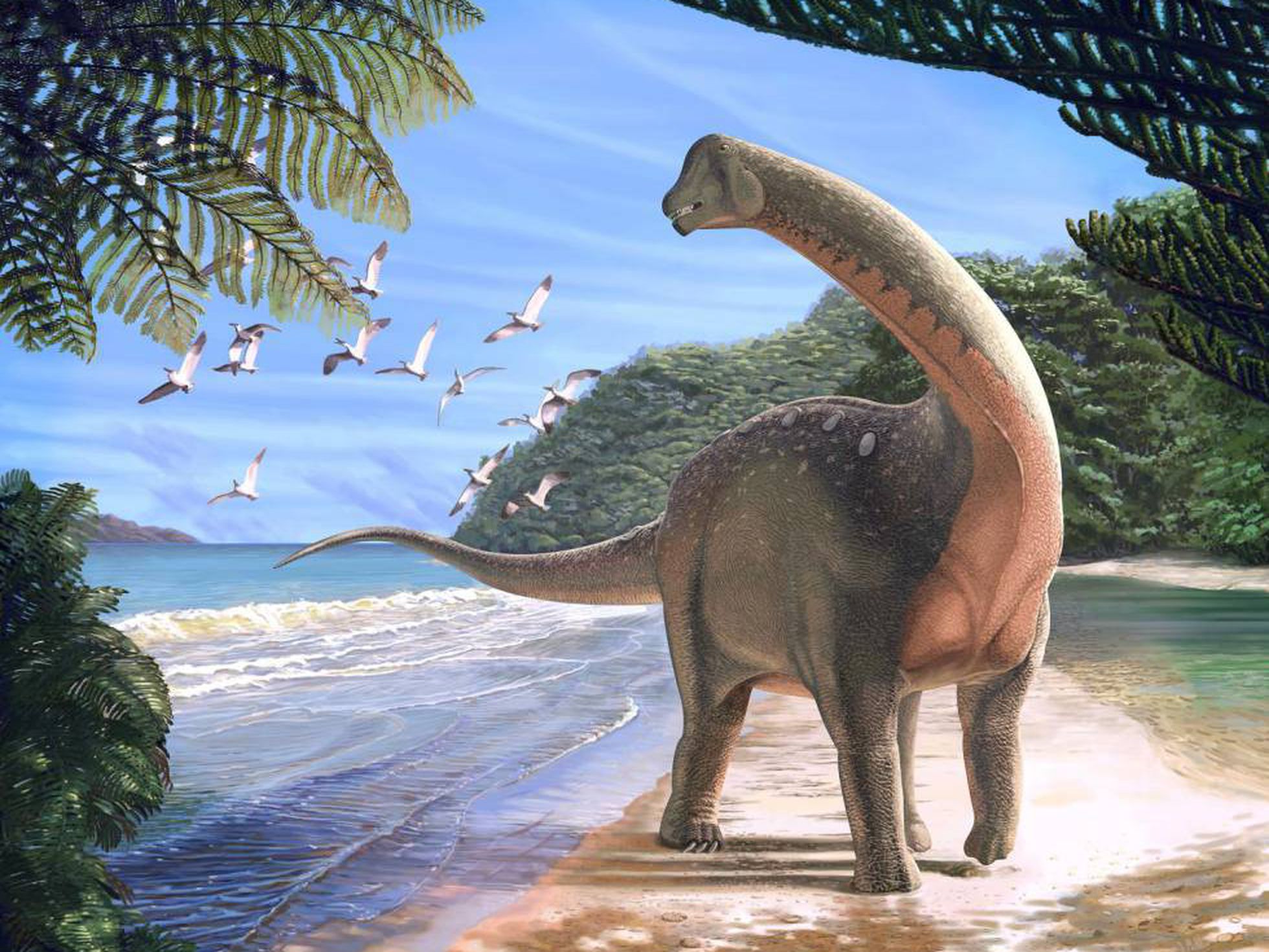 Ahora descubren que los dinosaurios tenían ombligo
