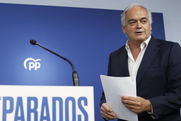 Esteban González Pons, vicesecretario institucional del PP Efe Esteban González Pons, vicesecretario institucional del PP Efe