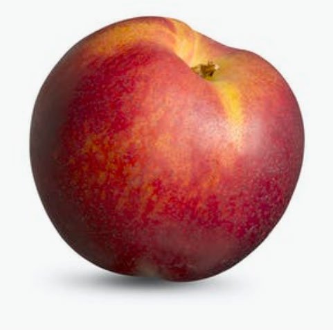 Nectarina Nectarina
