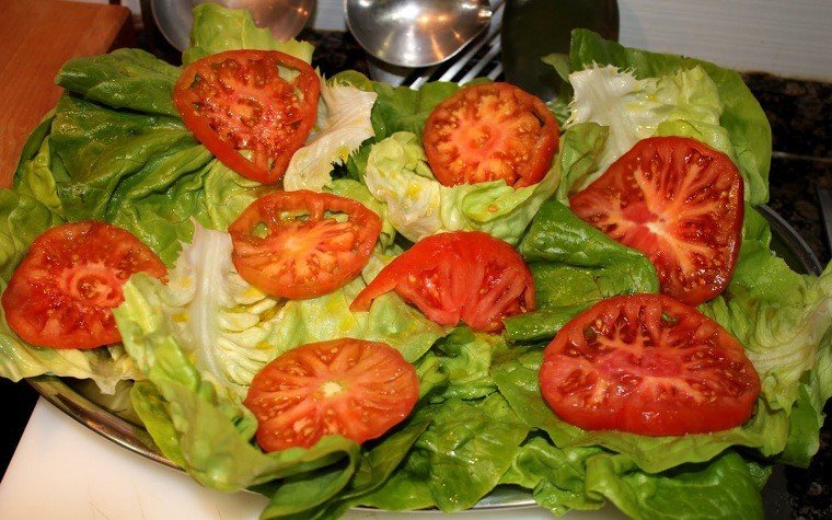 garrinet al forn pas20