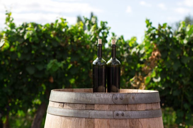 El verano es una época buenísima para disfrutar del vino El verano es una época buenísima para disfrutar del vino