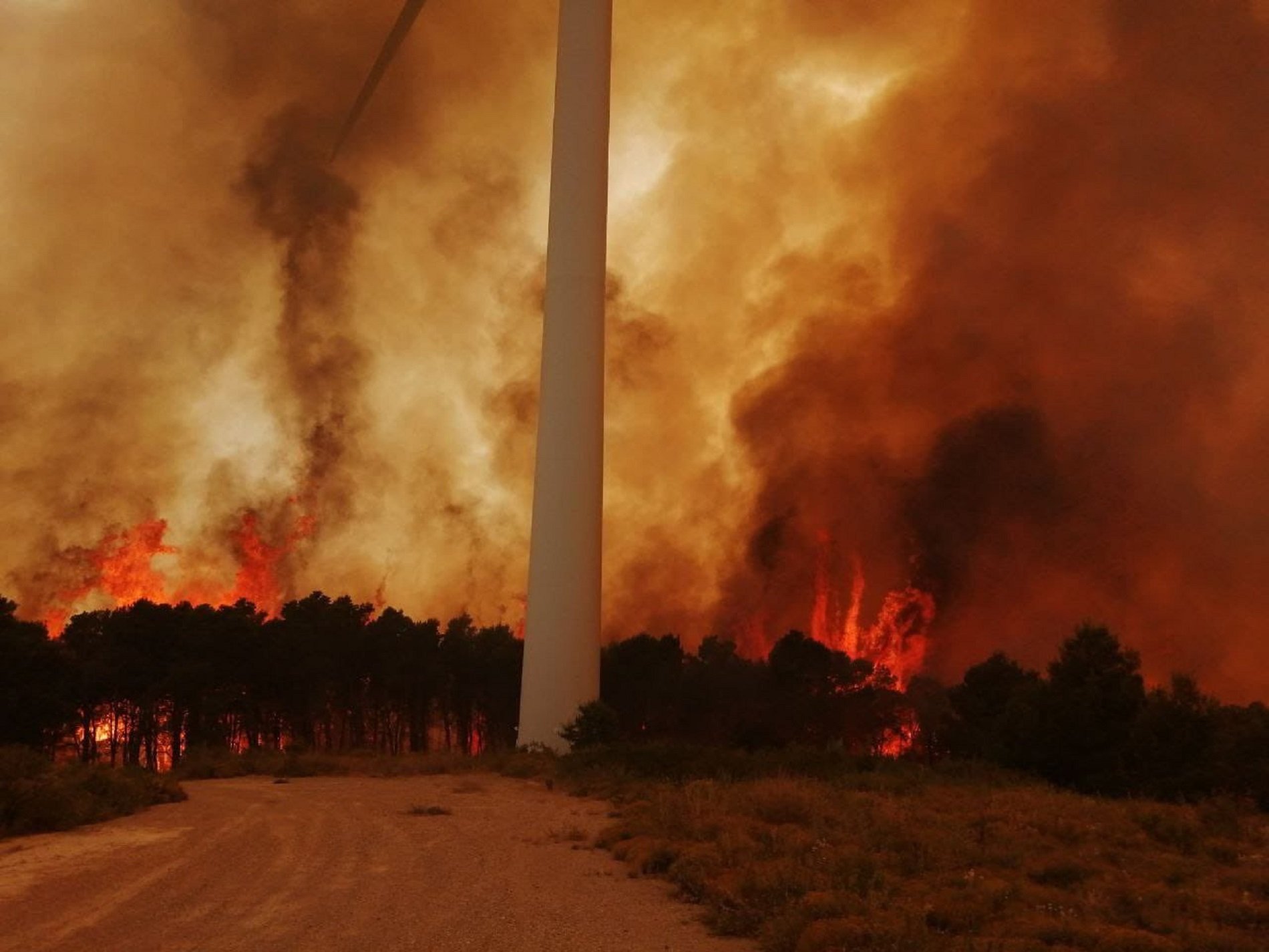 Un incendi a Corbera d'Ebre crema 360 hectàrees de bosc i un parc eòlic