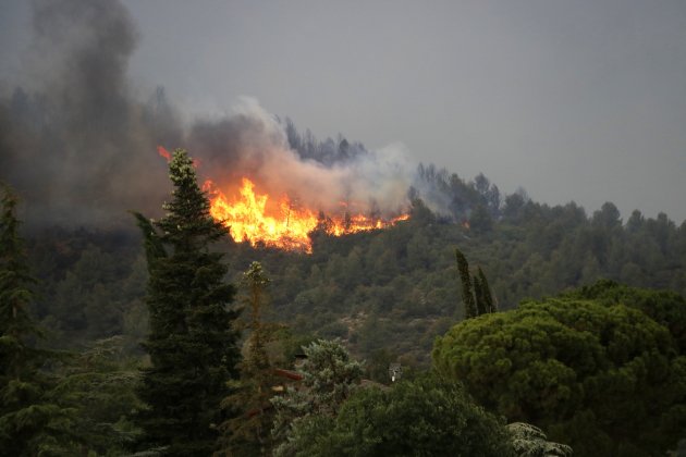 incendio baldomar acn incendio baldomar acn