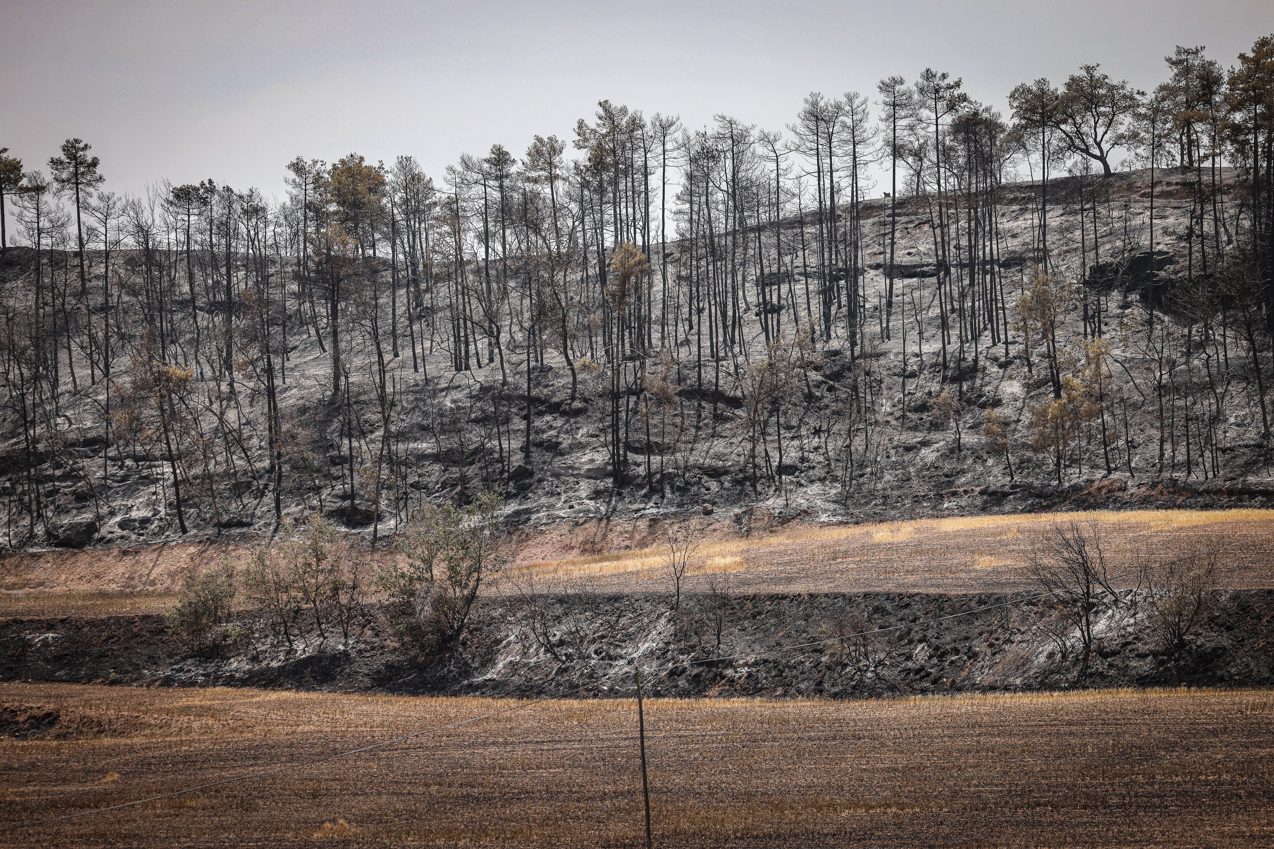 Los Bombers, muy preocupados ante el enorme potencial y carga de fuego del incendio de Lladurs