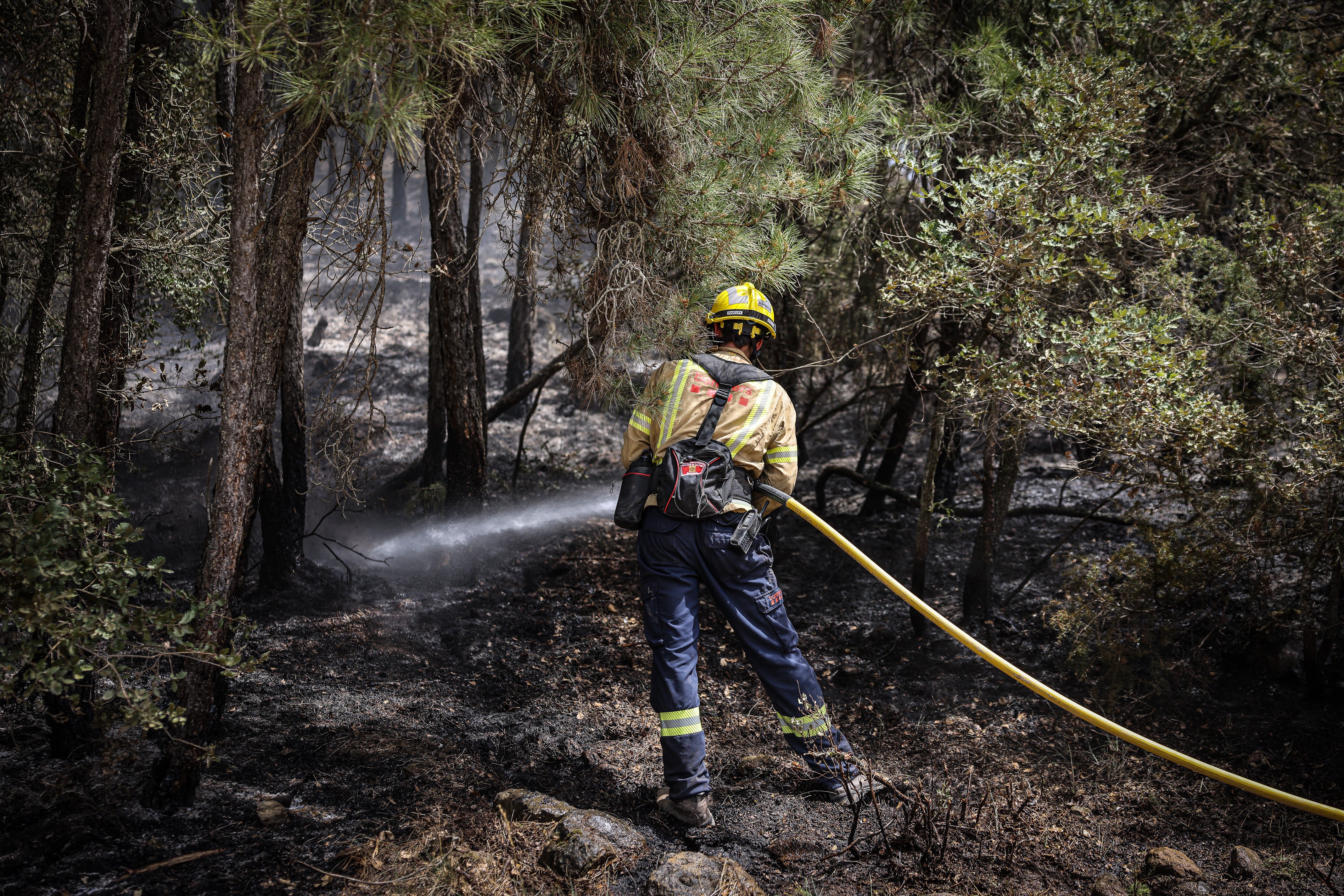 La indignació de l'alcalde d'Alòs de Balaguer: "Si no hagués fet pipí al matí, hauria apagat jo l'incendi"