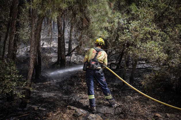 Incendis Solsonès ACN