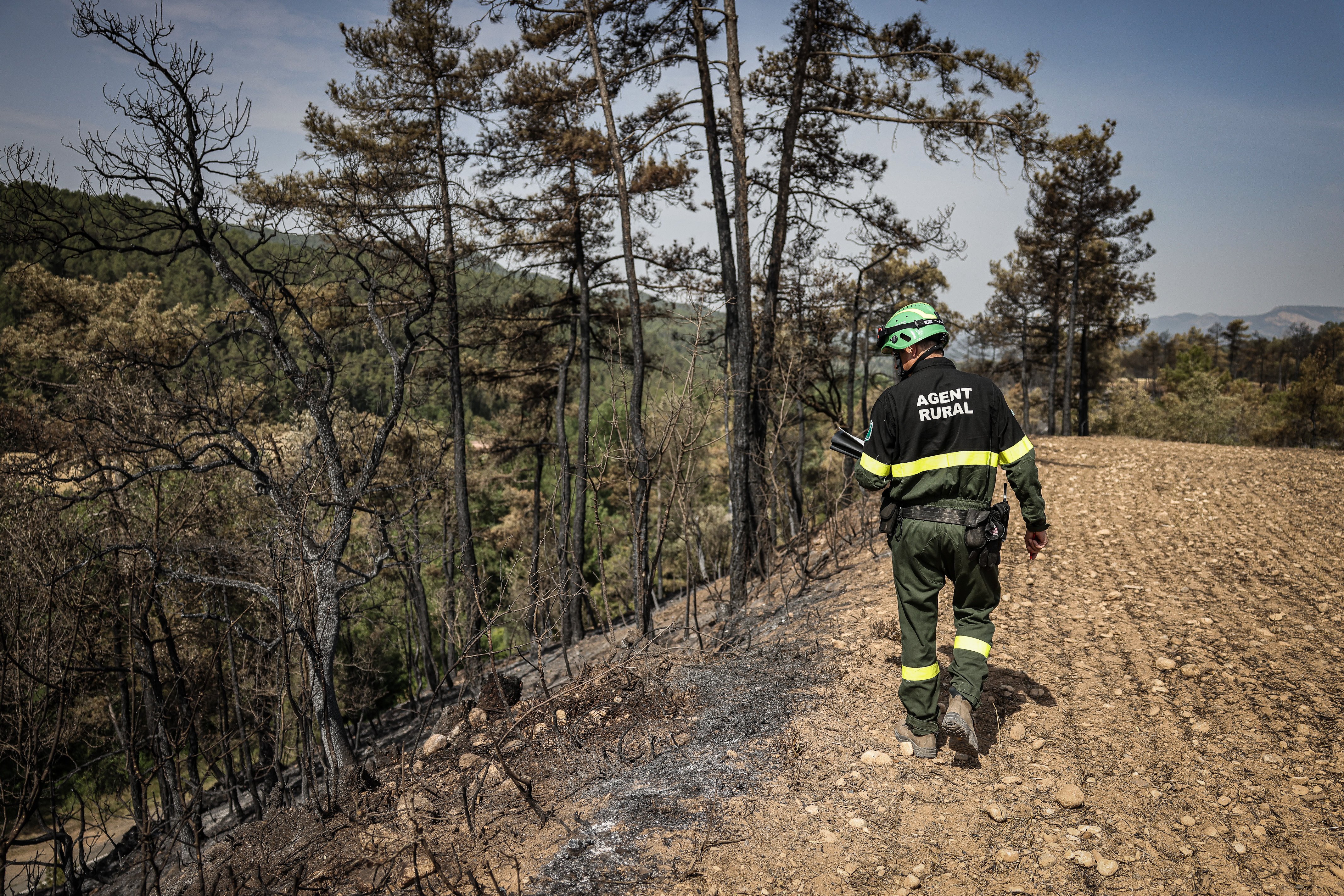 Agent rural repassa zona on va caure llamp Ogern Alt Urgell / Foto: ACN