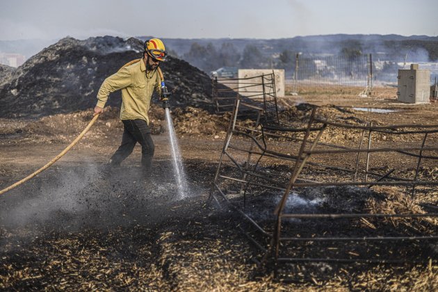 Efectius ADF remullant terreny granja afectada incendi Artés / Foto: ACN Efectius ADF remullant terreny granja afectada incendi Artés / Foto: ACN