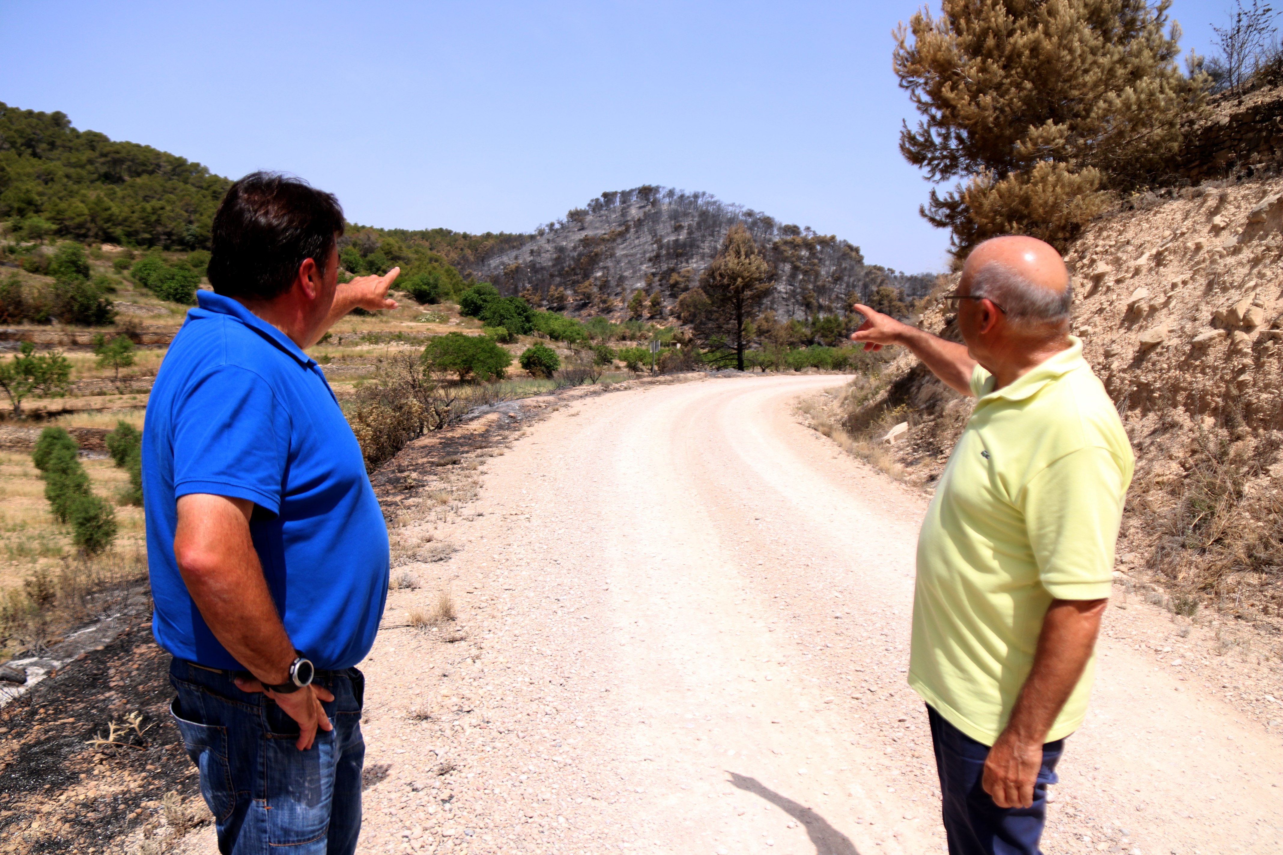 Miquel González, viticultor de Corbera d'Ebre, muestra los efectos del incendio Foto ACN Miquel González, viticultor de Corbera d'Ebre, muestra los efectos del incendio Foto ACN