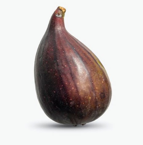Breva Breva