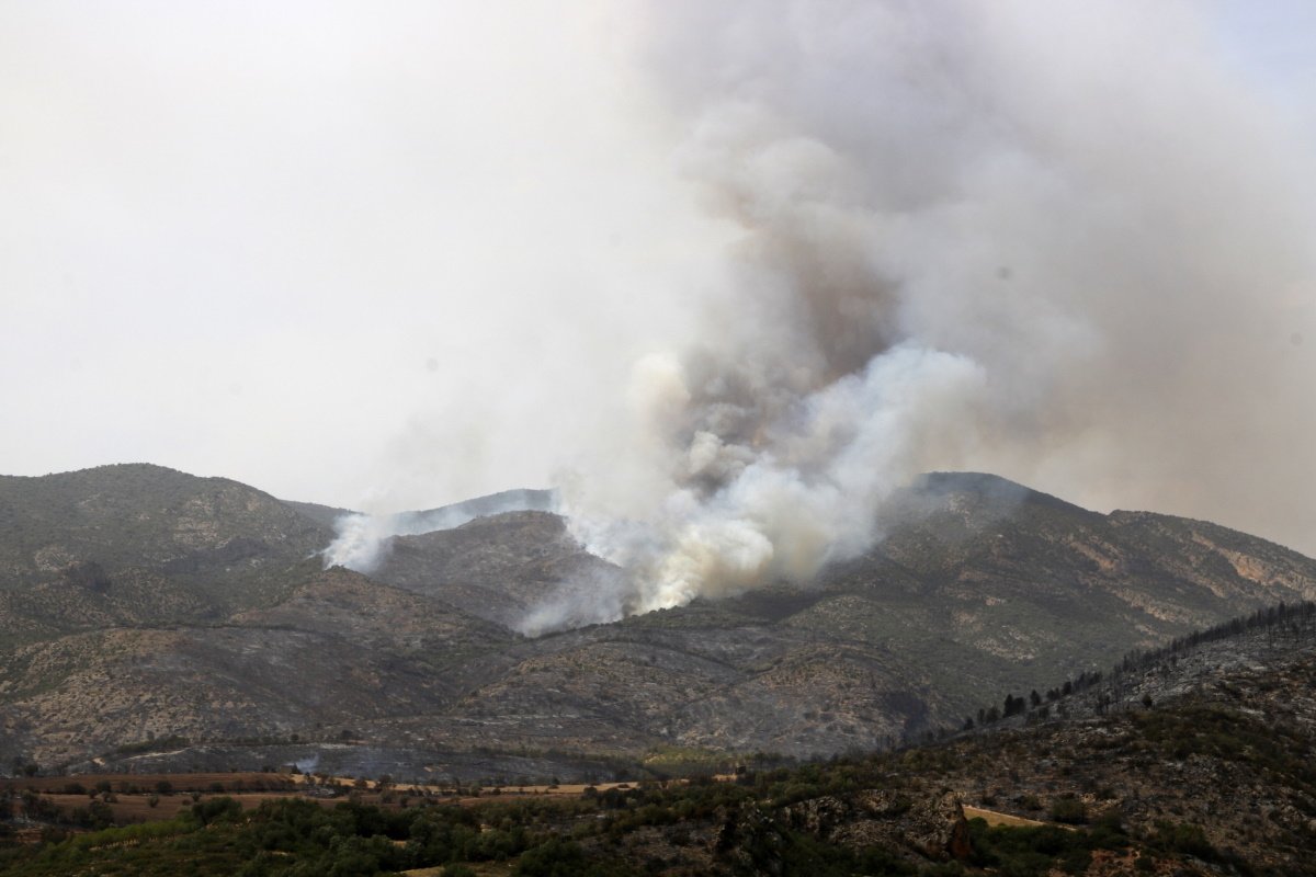 Los Bomberos intentan controlar el incendio de Artesa de Segre a pesar del fuerte viento