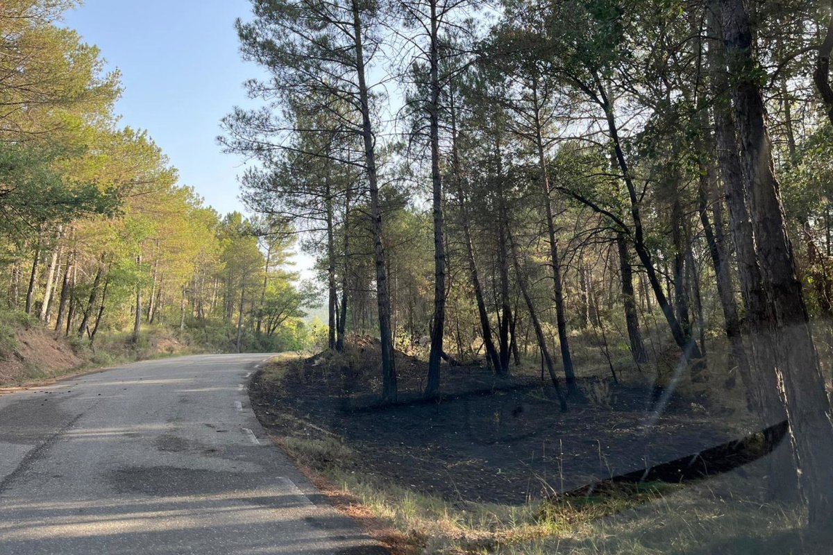 Detingut un home per provocar focs a la zona afectada pels incendis del Solsonès