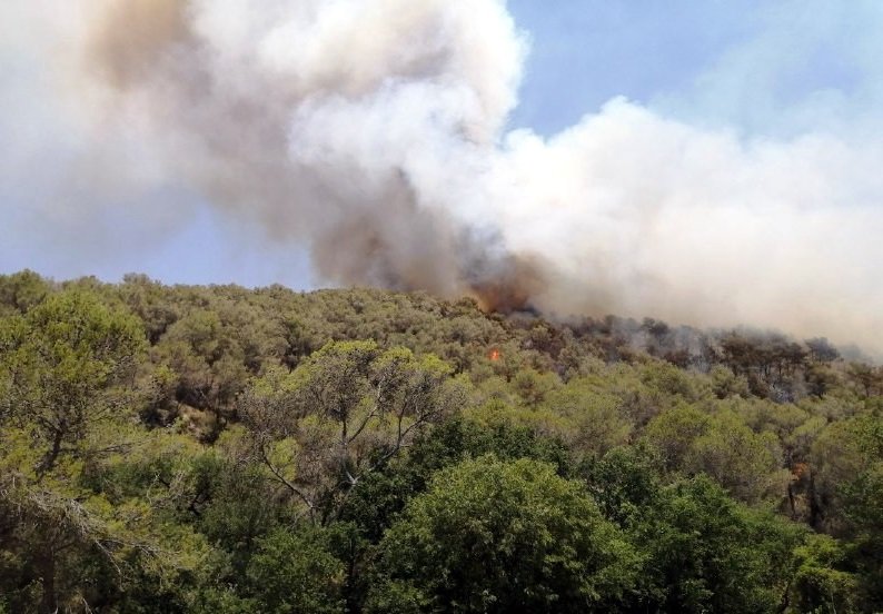 Nuevo incendio en Catalunya: arde un bosque del macizo del Garraf