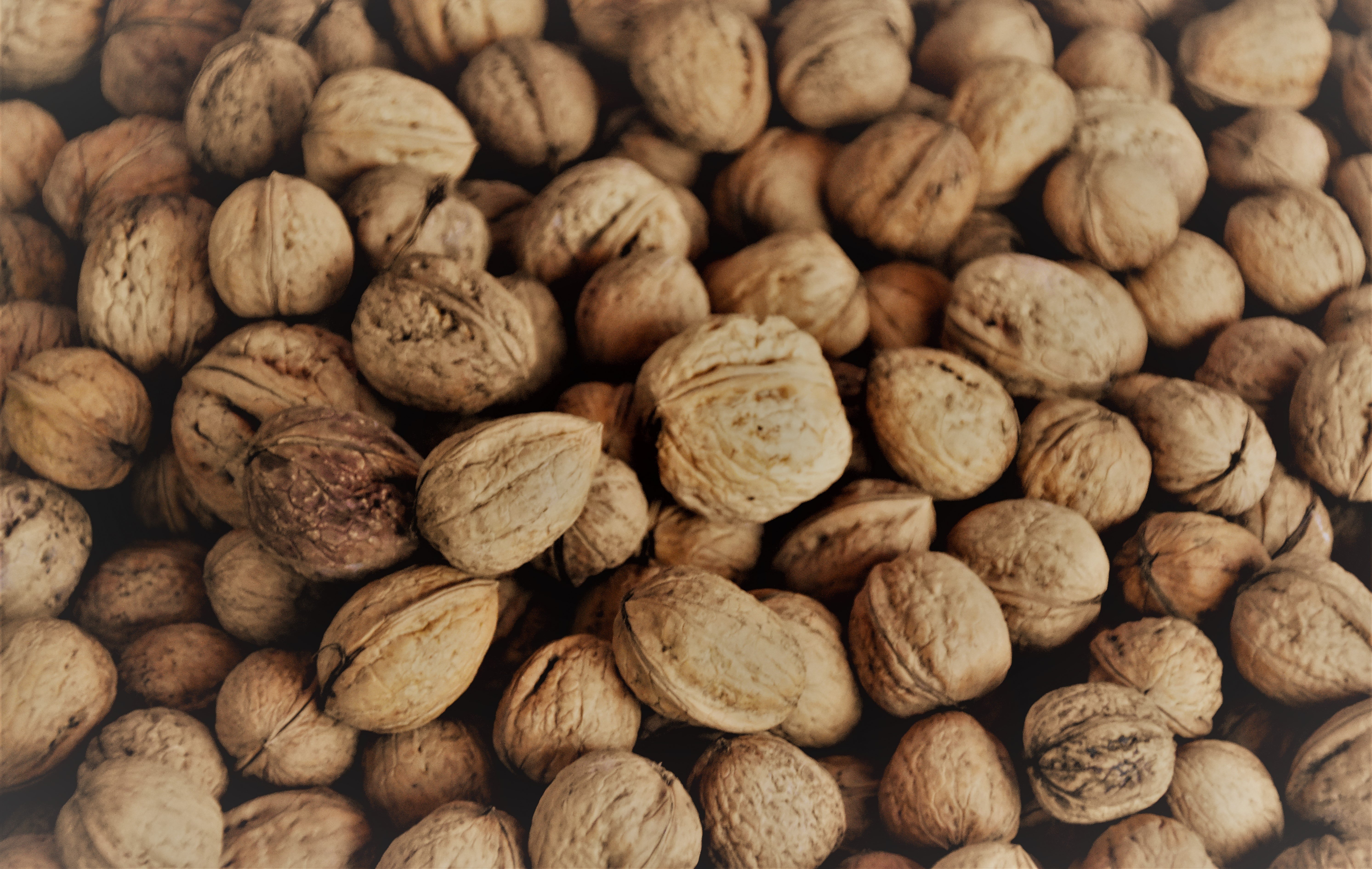 Nueces Nueces