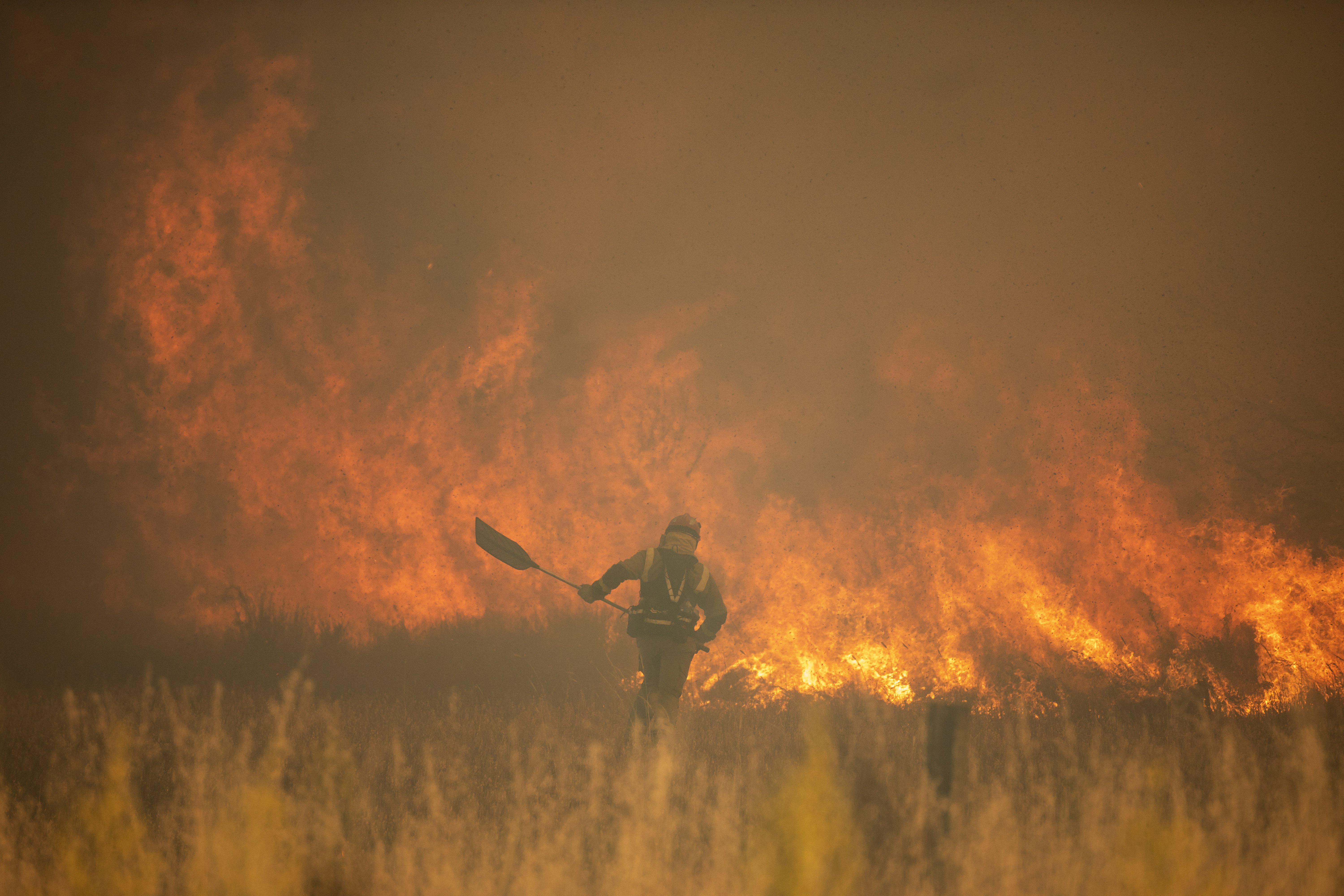 El incendio de Zamora, el peor desastre en siglos: ya ha quemado 25.000 hectáreas