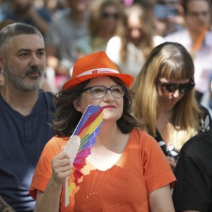 La vicepresidenta de la Generalitat Valenciana y portavoz del Consell, Mónica Oltra, Europa Press