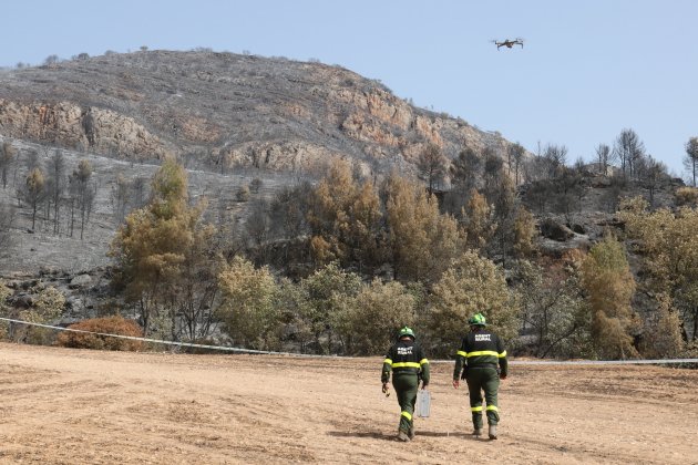 Incendio Artesa de Segre / ACN