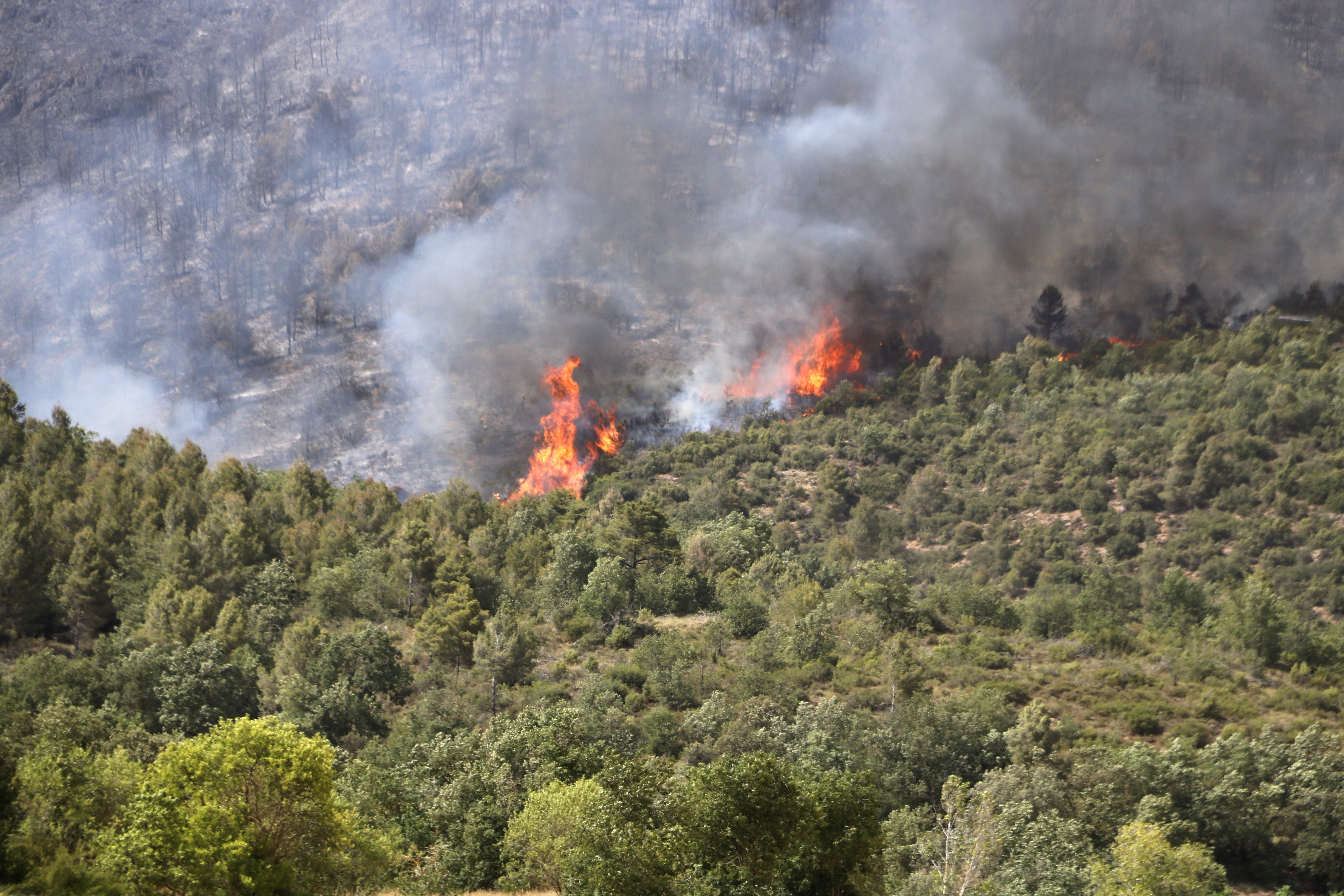 Estabilitzat l'incendi d'Artesa de Segre: punt i seguit a una campanya forestal molt dura