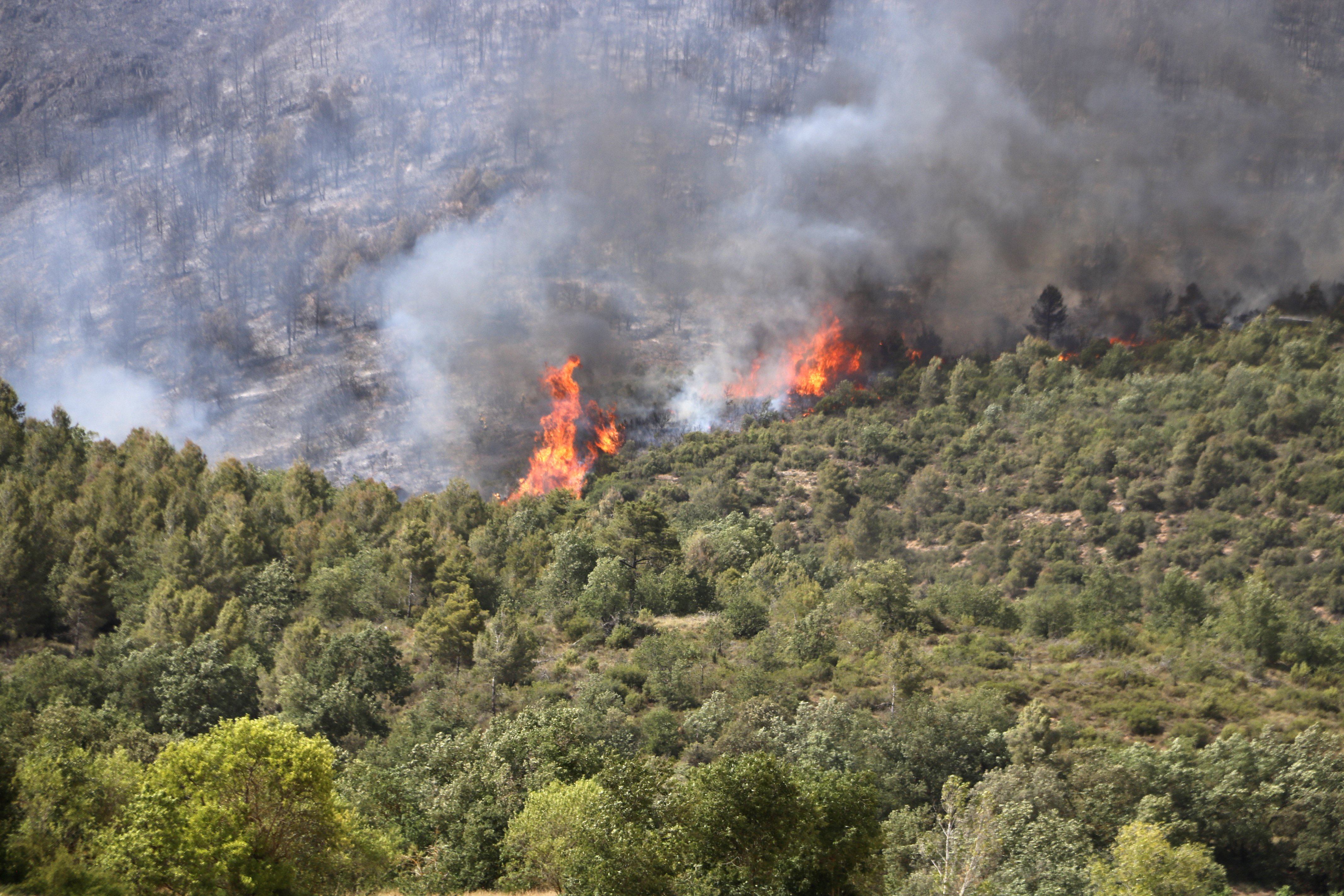 Incendi Artesa de Segre / Foto: ACN