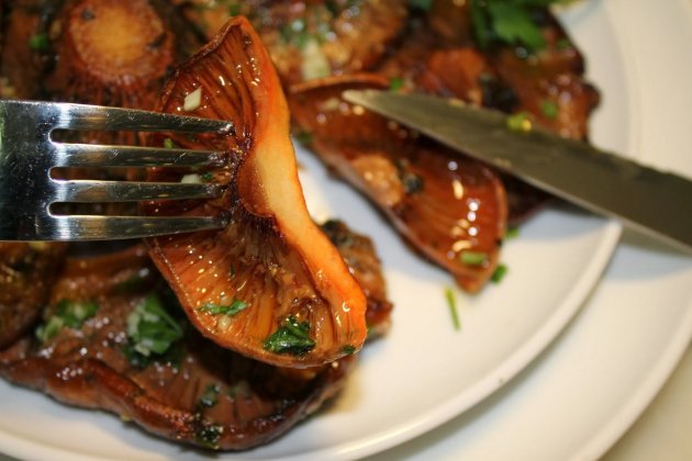 rovellons planxa pas000