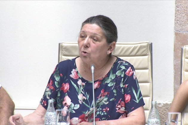 Serra llei referèndum