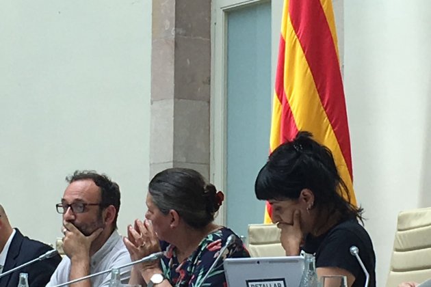 Llei referèndum 7 Iu Forn