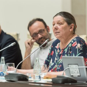 llei referendum parlament laura gomez cup gabriela serra llei referendum parlament laura gomez cup gabriela serra