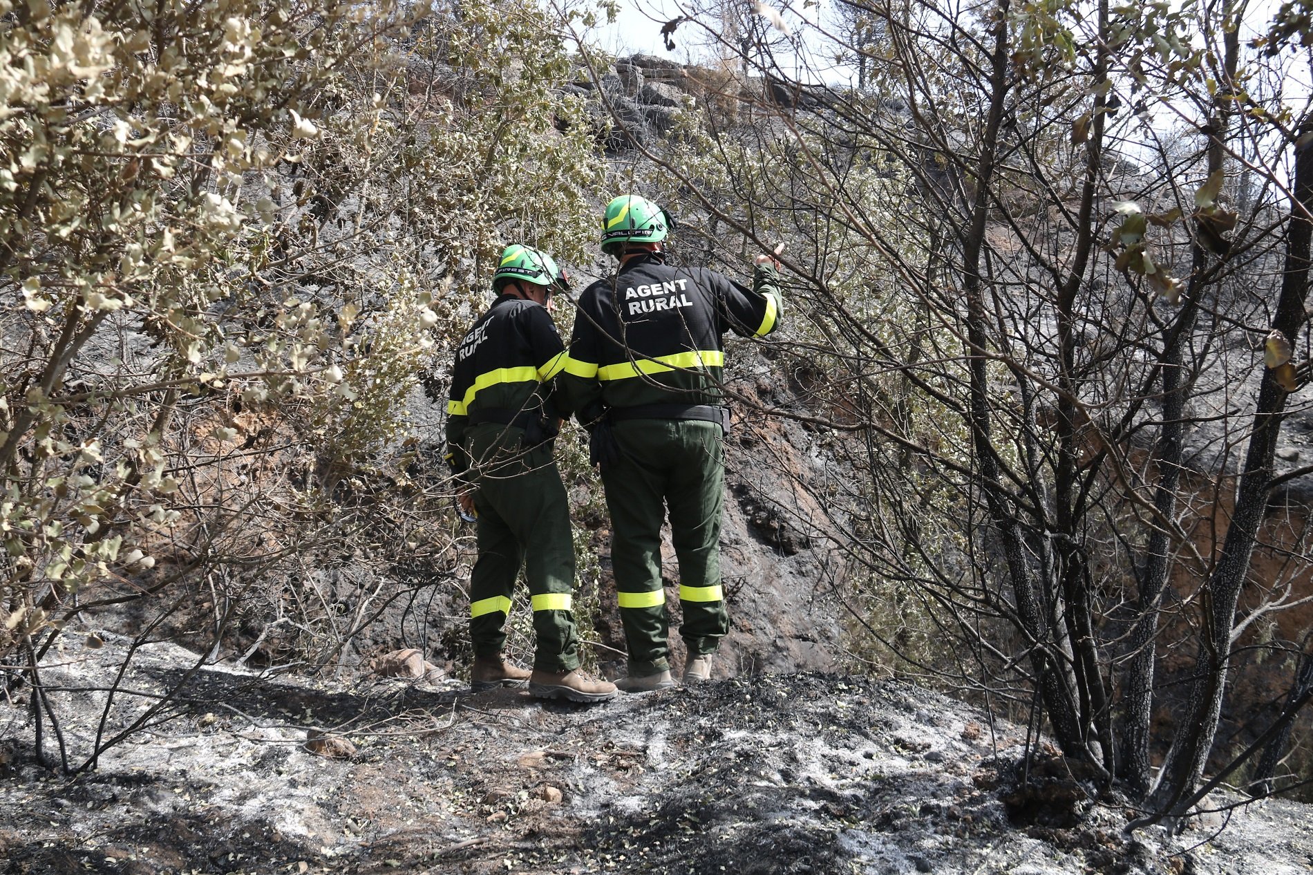 Las áreas de Catalunya afectadas por los incendios serán declaradas zona catastrófica