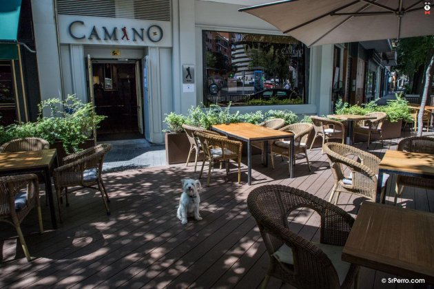 Camino Food Drinks  / sr perro