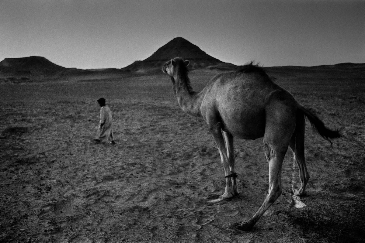 Fotografies que són petites mandales