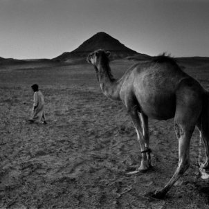 Fotografies que són petites mandales