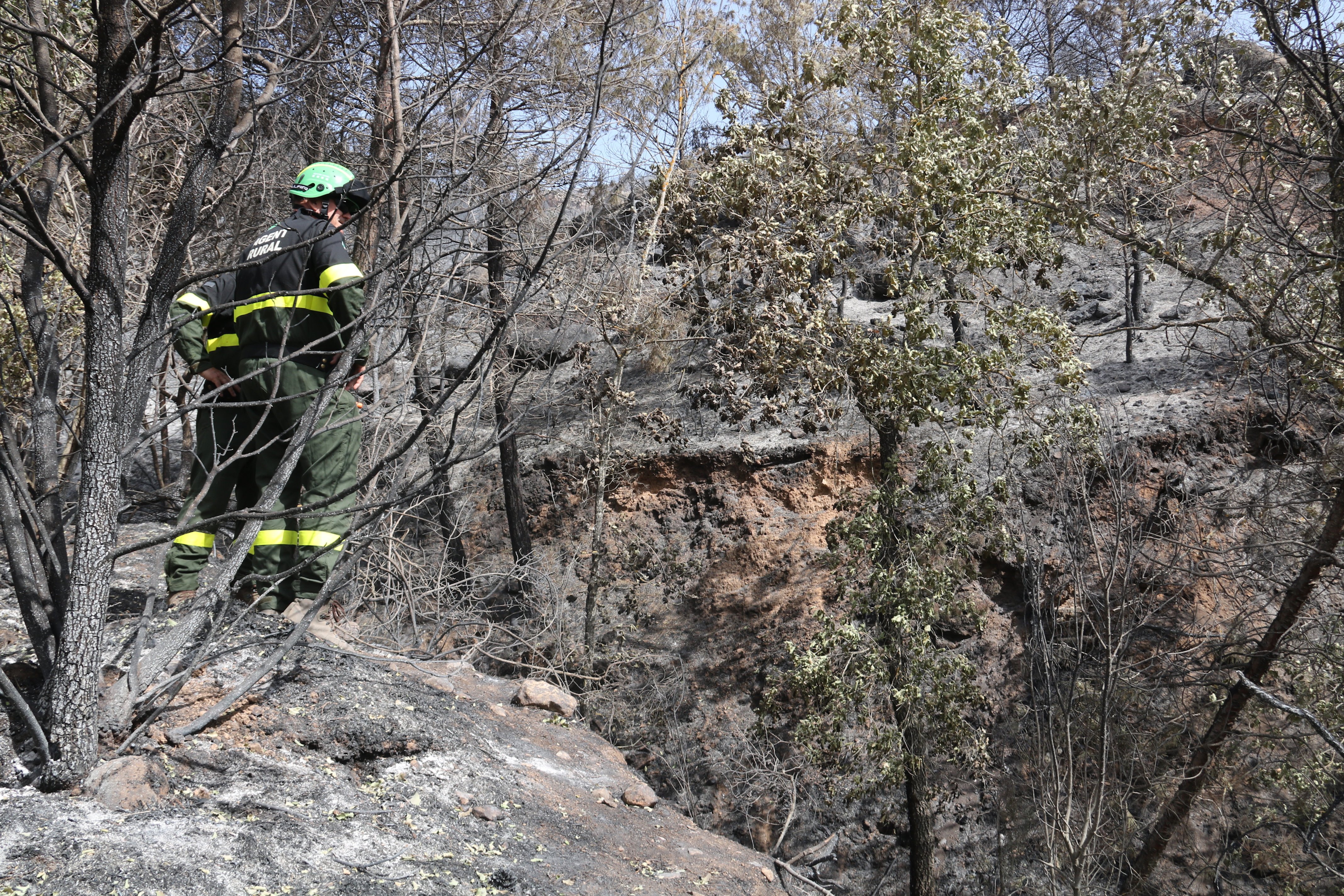 Los Bombers declaran extinguido el incendio de Baldomar, en Artesa de Segre: 48 horas sin humo