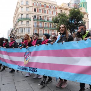 Manifestación trans en Madrid   Europa Press