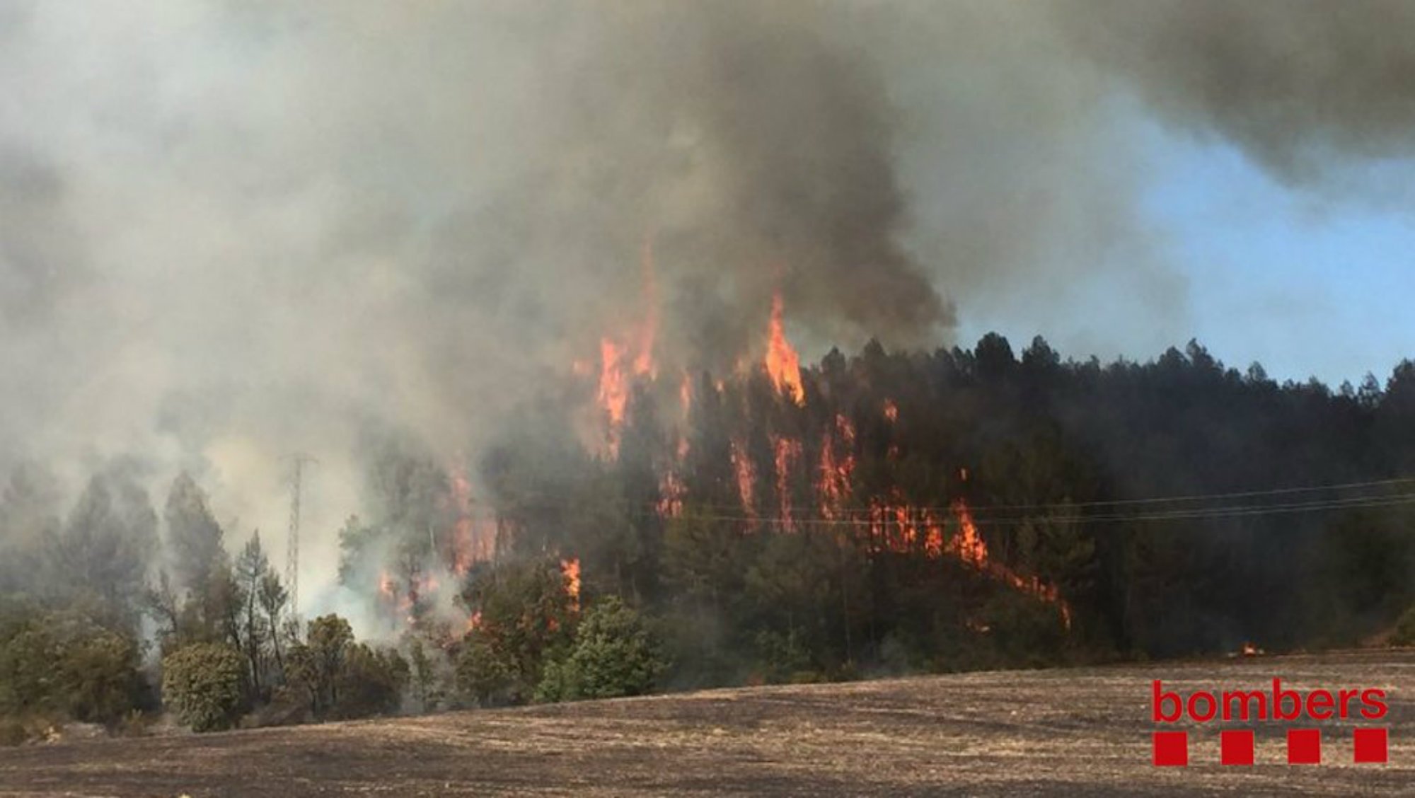Estabilitzat l'incendi Avinyó després d'afectar una seixantena d'hectàrees