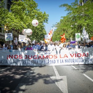 EuropaPress 4539273 miles personas participan marcha vida contra nueva ley aborto 26 junio 2022