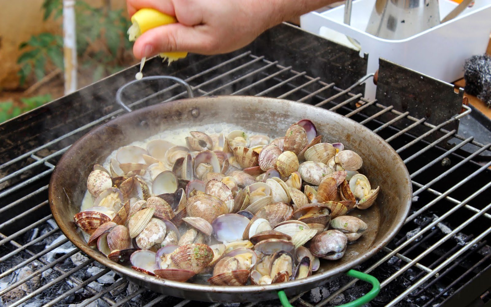 Almejas a la barbacoa