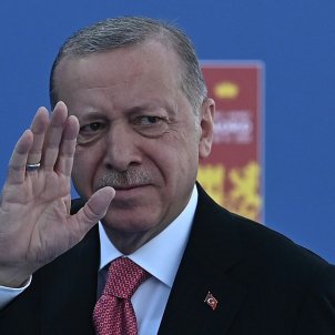Recep Tayyip Erdogan president turc efe