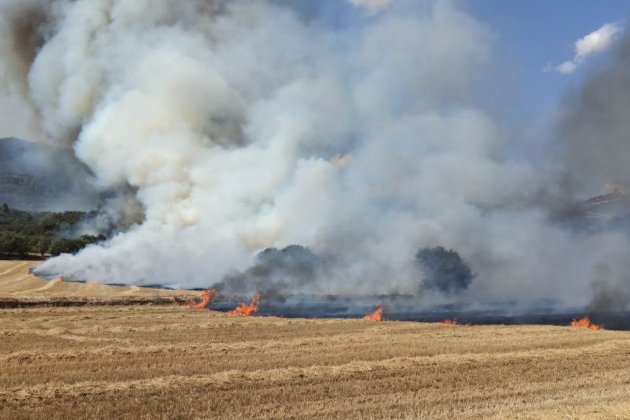 Segundo Incendio Artesa Cultivo