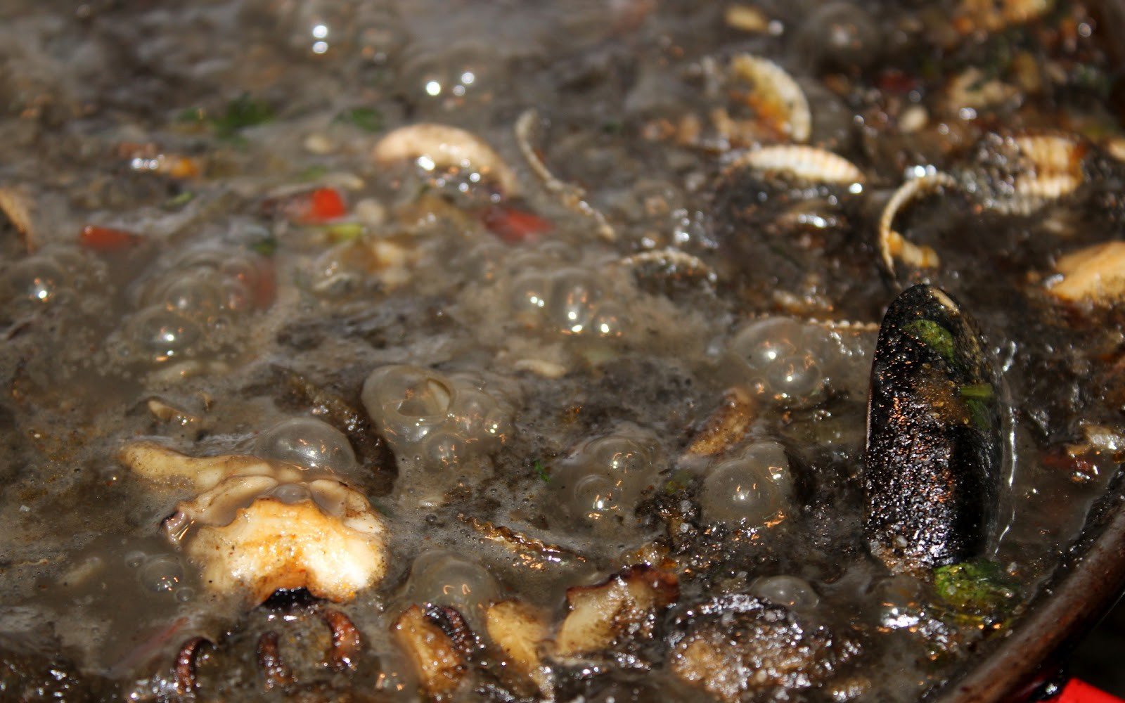 arros negre sipia escopinyes pas22