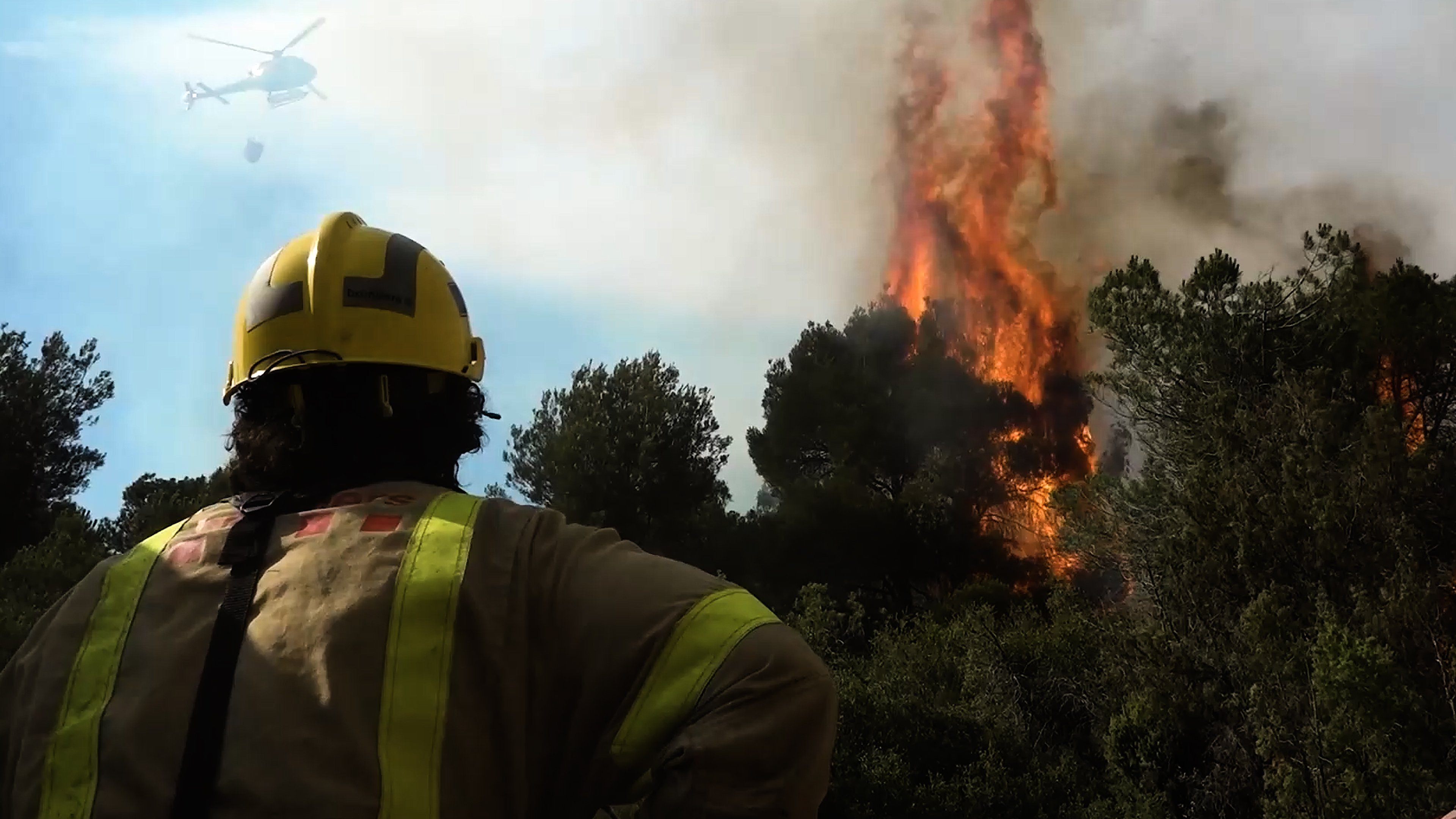'Cronología de un incendio', el minidocumental sobre la gestión forestal